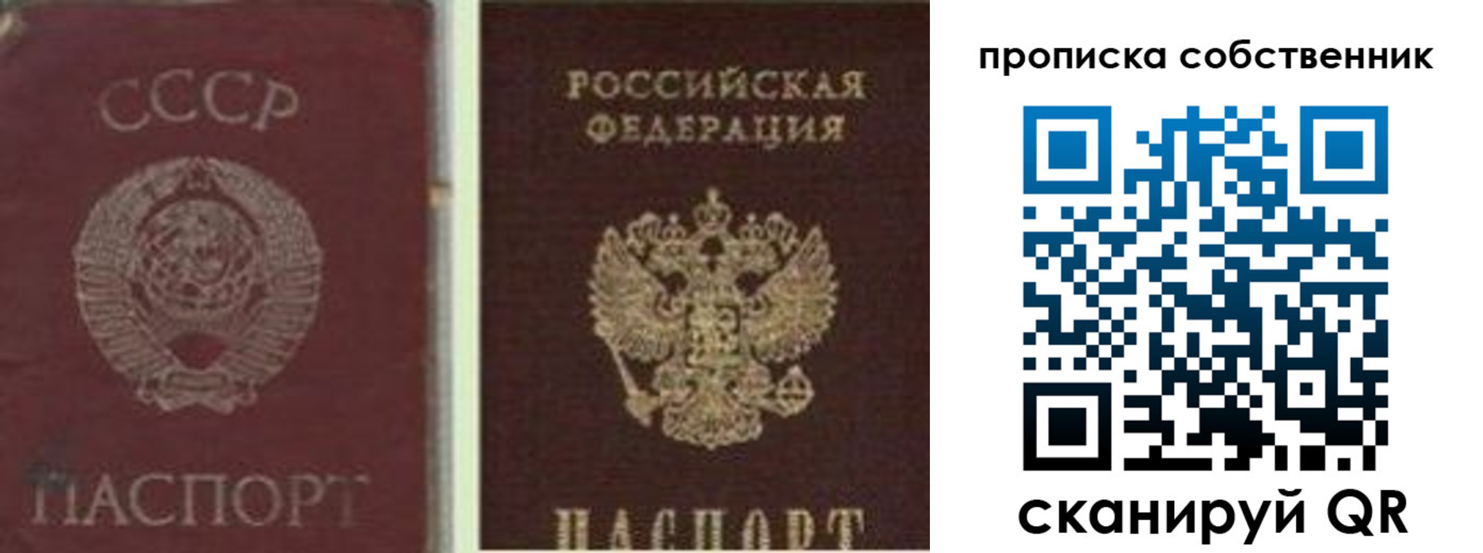 прописка 2025 в Соколе